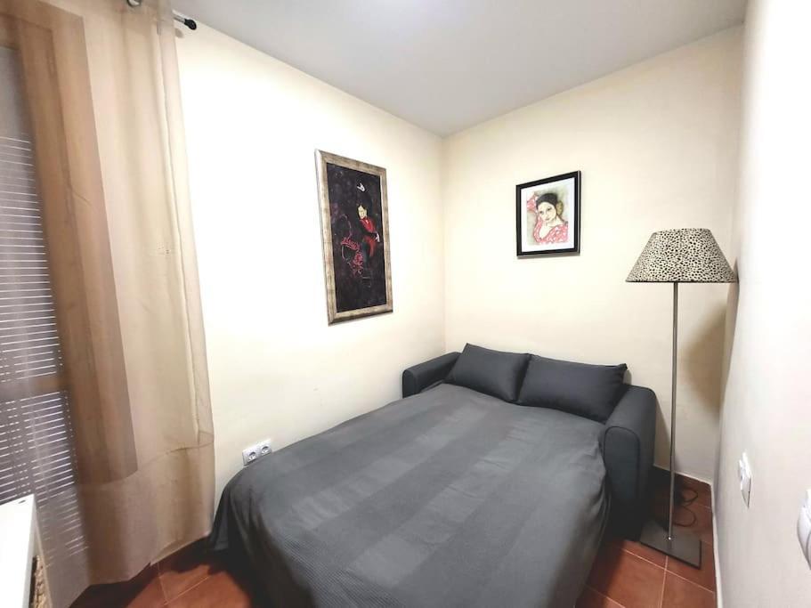 Flamenco, Apartamento Exclusivo De Dos Habitaciones En El Pleno Del Casco Antiguo, Alicante, Playa, Centro Historico, Rambla Buitenkant foto